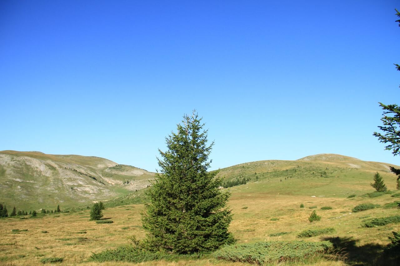 Кемпинги Etno Camp Bjelasica Биело-Поле-34