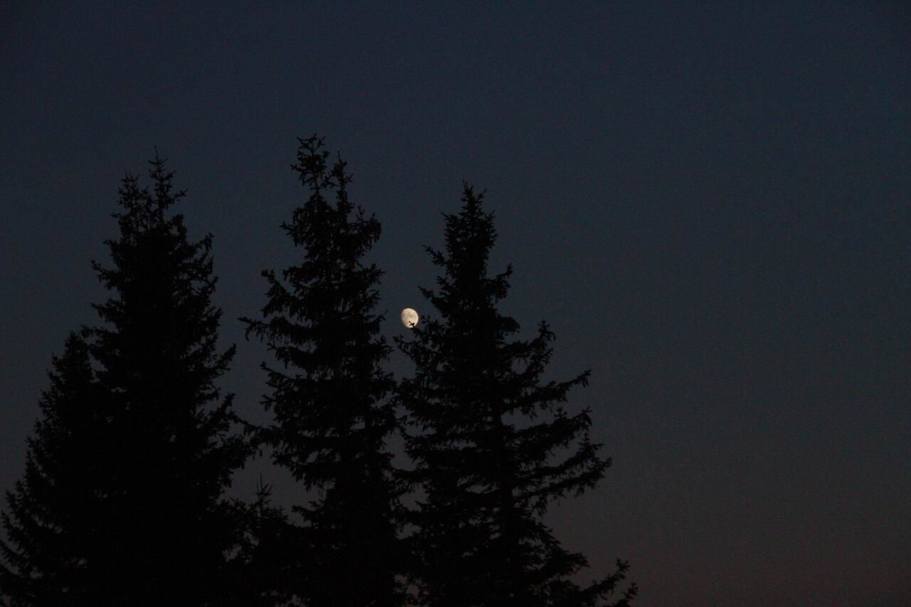 Кемпинги Etno Camp Bjelasica Биело-Поле-38