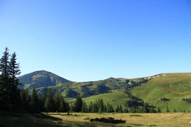 Кемпинги Etno Camp Bjelasica Биело-Поле-29