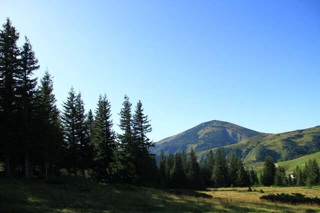 Кемпинги Etno Camp Bjelasica Биело-Поле-32