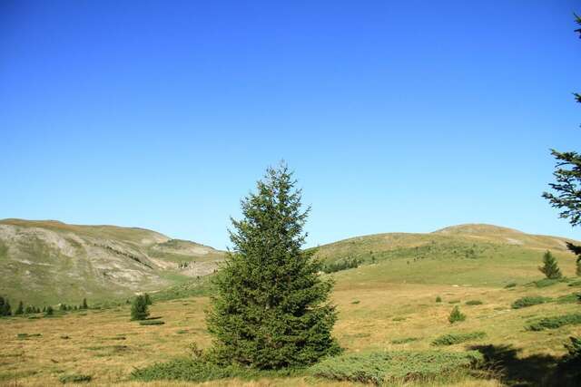 Кемпинги Etno Camp Bjelasica Биело-Поле-33