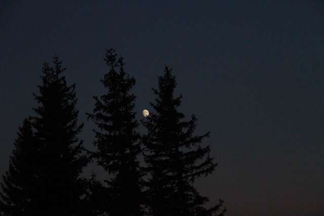 Кемпинги Etno Camp Bjelasica Биело-Поле-37